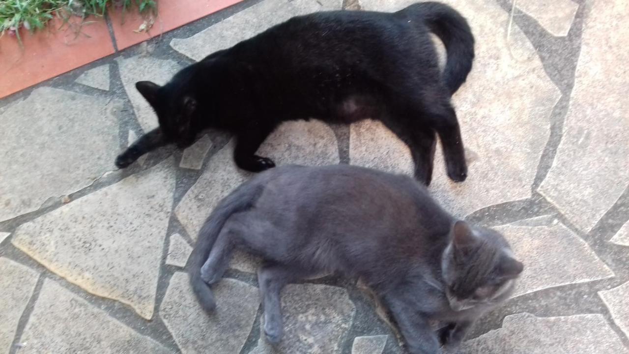 Willa T2 Kay Zanndoli La Trinité Zewnętrze zdjęcie
